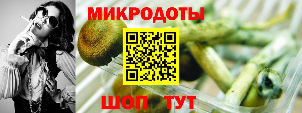Псилоцибиновые грибы Psilocybine cubensis Артёмовский